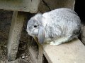Maj2008 024